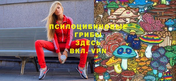 PSILOCYBIN Балабаново