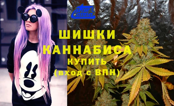 PSILOCYBIN Балабаново