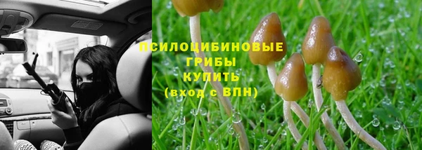 PSILOCYBIN Балабаново